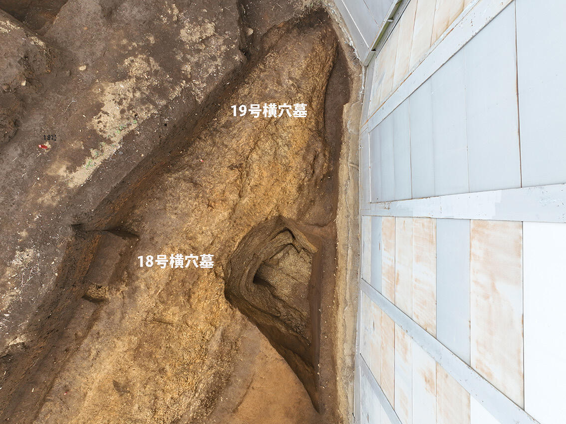世田谷区殿山横穴墓群1 | 発掘トピックス | 東京都埋蔵文化財センター